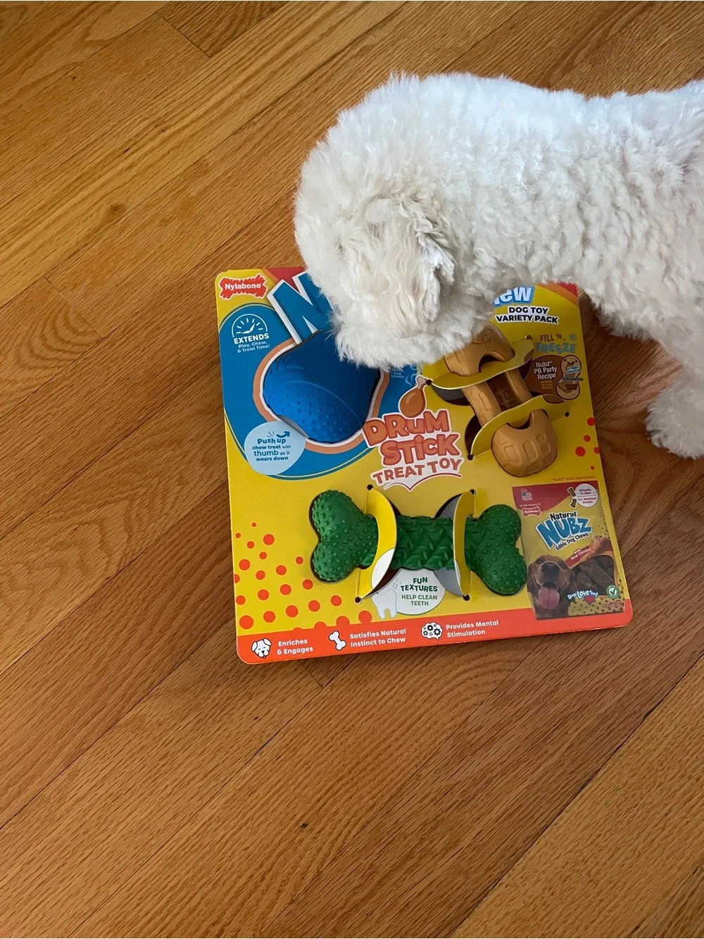ONE Nylabone Fun & Flex OR Nubz Treat 'n Chew Dog Toy Variety Pack
